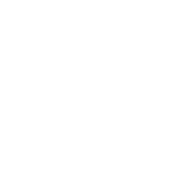 hippa-icon